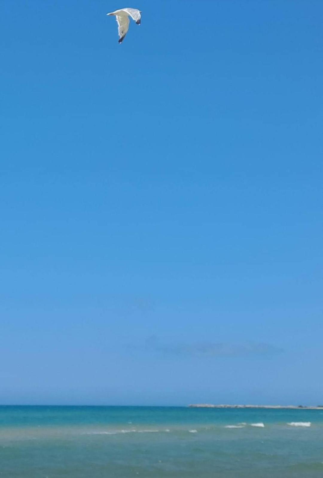 La Foggia Seaside Paradise Siculiana Buitenkant foto